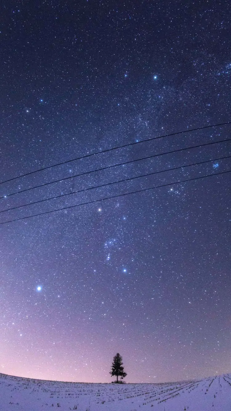 丘上の一軒宿星ヶ丘