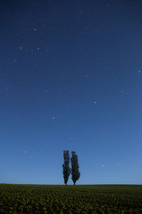 美瑛天体観測 ペンション星ヶ丘 天然プラネタリウム ゴールデンウイーク予約 美瑛天体観測